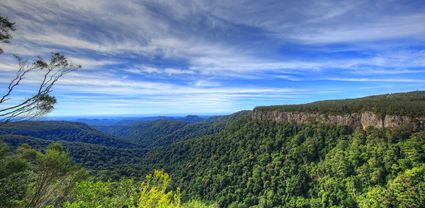 Canyon Lookout - Springbrook National Park - QLD T (PB5D 00 4262)